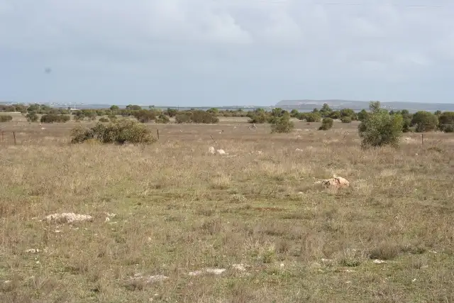 Fourth view of Homely rural property listing, Lot 2 Pygery-Pt Kenny Road, Port Kenny SA 5671