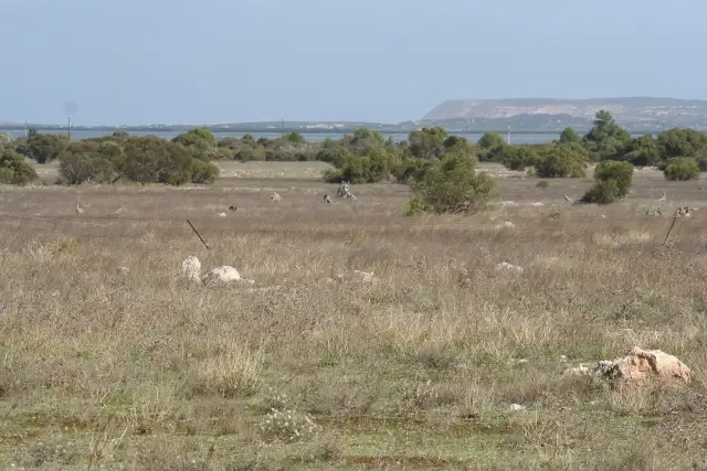 Fifth view of Homely rural property listing, Lot 2 Pygery-Pt Kenny Road, Port Kenny SA 5671