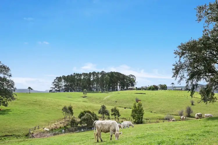 Sixth view of Homely rural property listing, 210 Woodburn Road, Milton NSW 2538