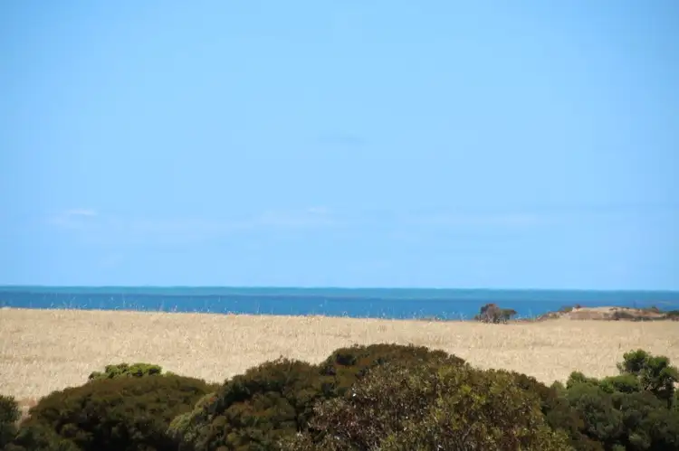 Main view of Homely land listing, 16 Meeinderry Drive, Perlubie SA 5680