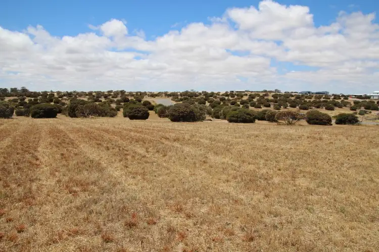 Second view of Homely land listing, 16 Meeinderry Drive, Perlubie SA 5680