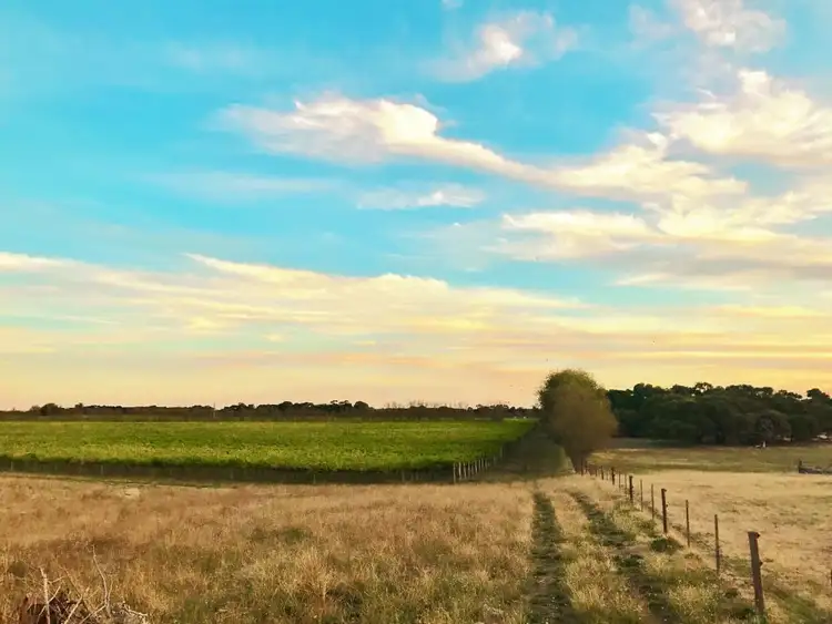 Second view of Homely rural property listing, Lot 31 Elgin Lane, Robe SA 5276