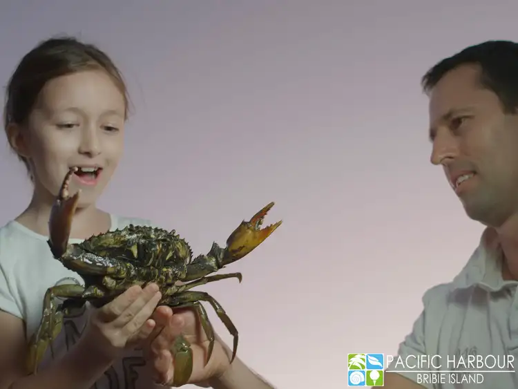 Sixth view of Homely land listing, Lot 291 Caleana Close, Banksia Beach QLD 4507