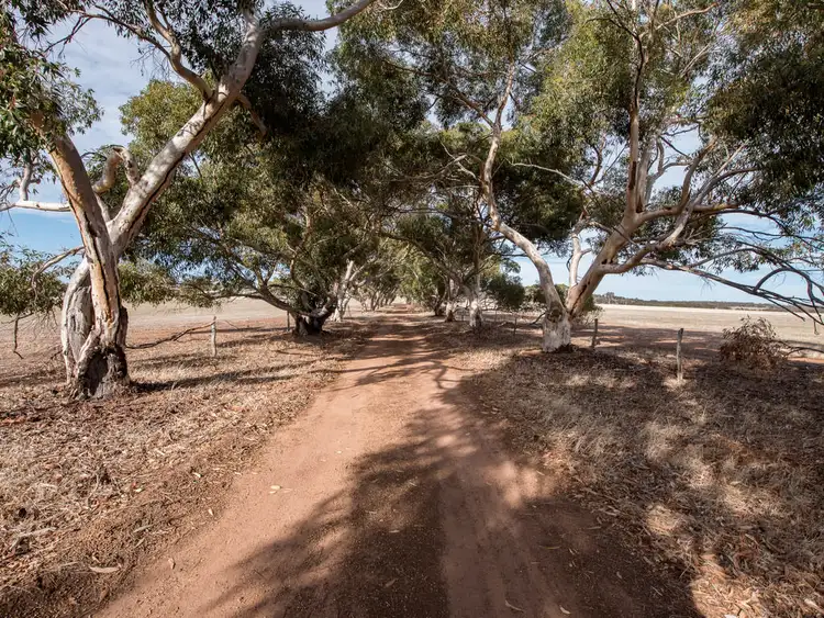Sixth view of Homely rural property listing, "Floravale" 880 Popanyinning East Rd, Popanyinning WA 6309