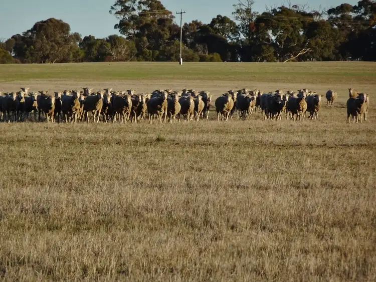 Third view of Homely rural property listing, Lot 4395 Williams Kondinin Rd, Narrogin WA 6312