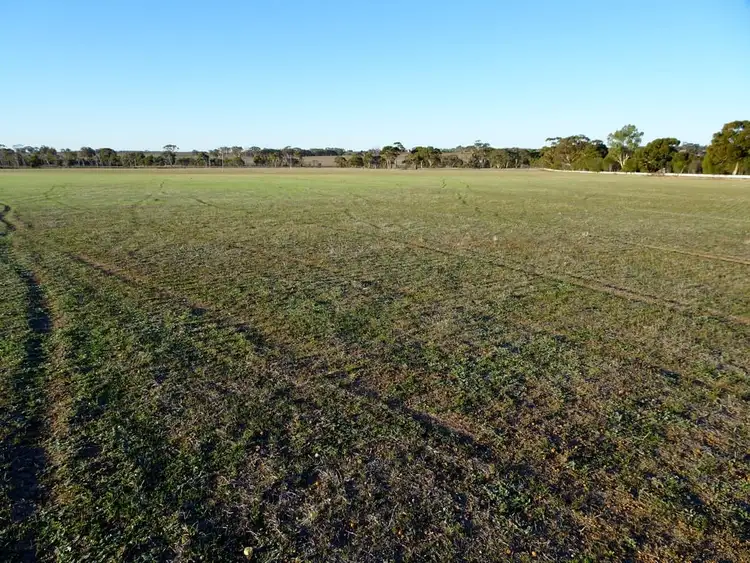 Fifth view of Homely rural property listing, Lot 4395 Williams Kondinin Rd, Narrogin WA 6312