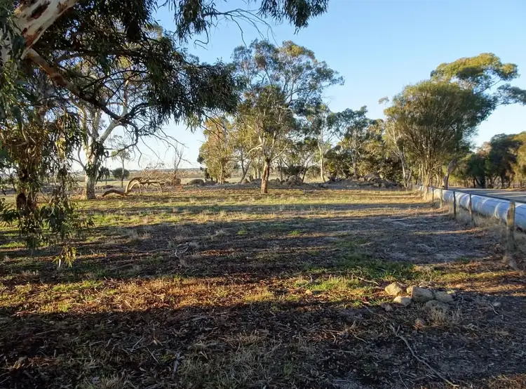 Seventh view of Homely rural property listing, Lot 4395 Williams Kondinin Rd, Narrogin WA 6312