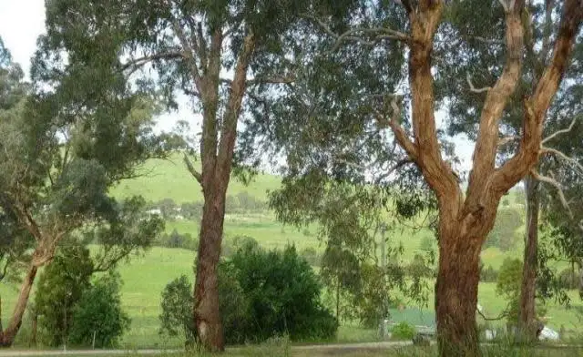 Seventh view of Homely land listing, 175 Old Buchan Road, Buchan VIC 3885