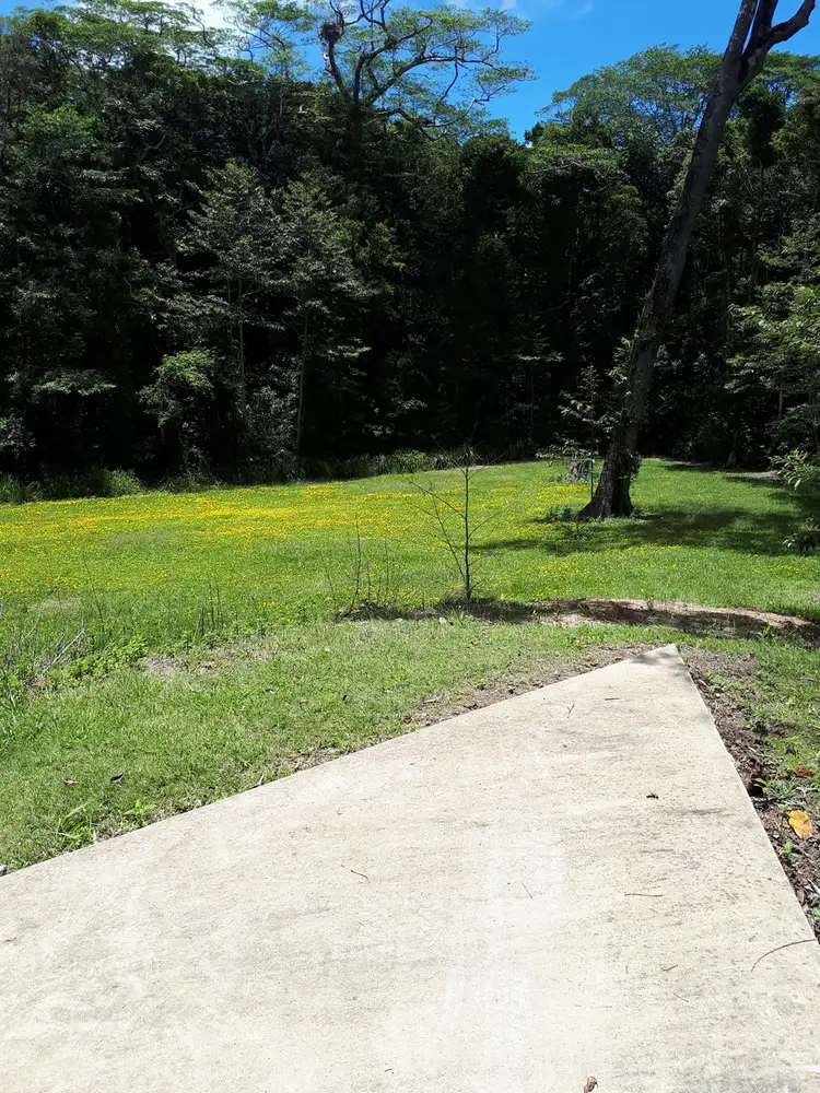 Sixth view of Homely land listing, 27 Loop Road, Paluma QLD 4816