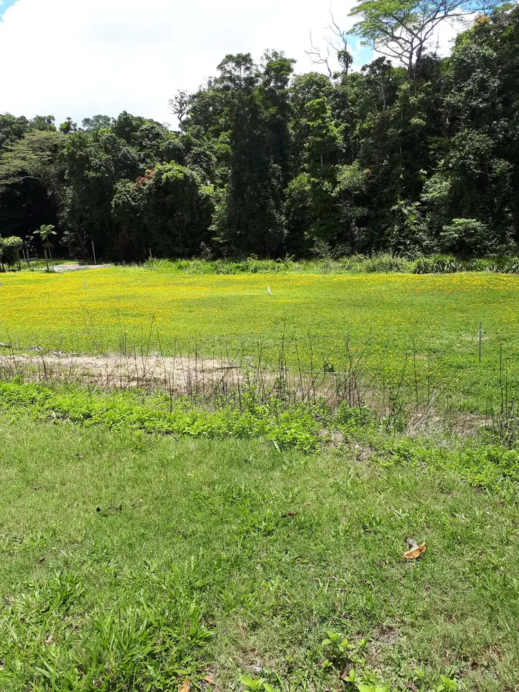 Seventh view of Homely land listing, 27 Loop Road, Paluma QLD 4816