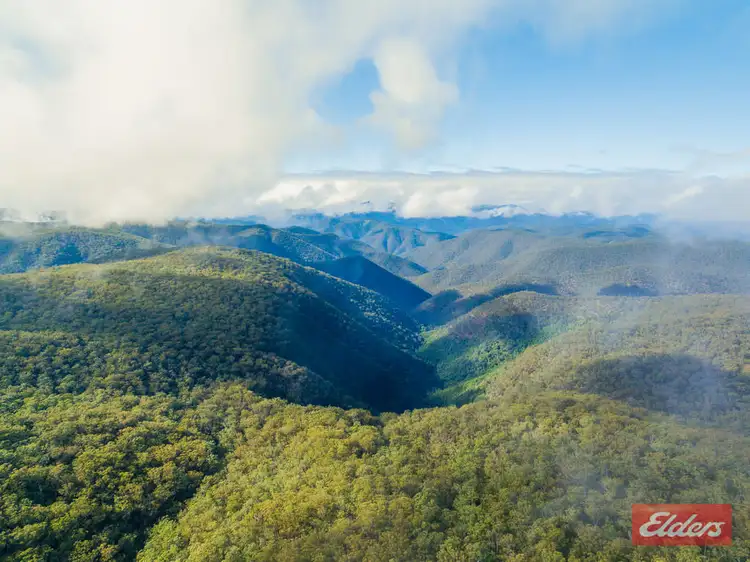 Fifth view of Homely rural property listing, 2540 Raspberry Road, Armidale NSW 2350