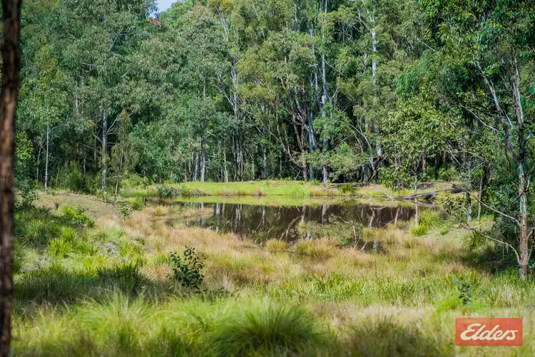 Seventh view of Homely rural property listing, 2540 Raspberry Road, Armidale NSW 2350