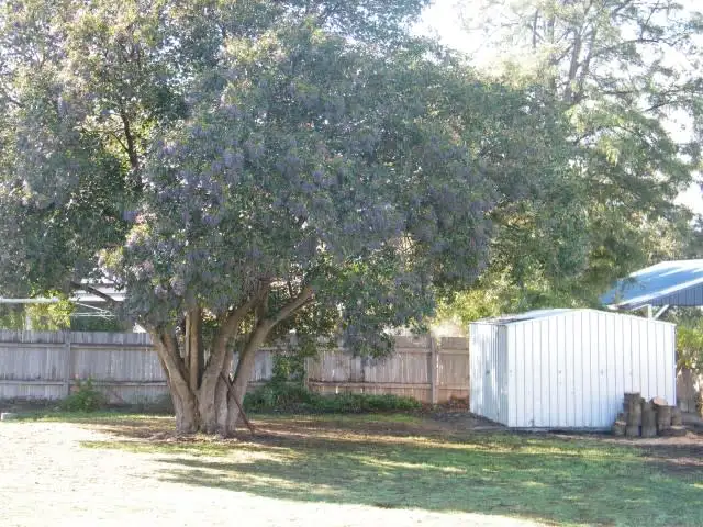 Seventh view of Homely house listing, 173 Hawker Street, Quirindi NSW 2343