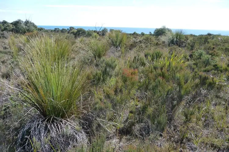 Fourth view of Homely rural property listing, 94 Gees Marsh Road, Bellingham TAS 7254
