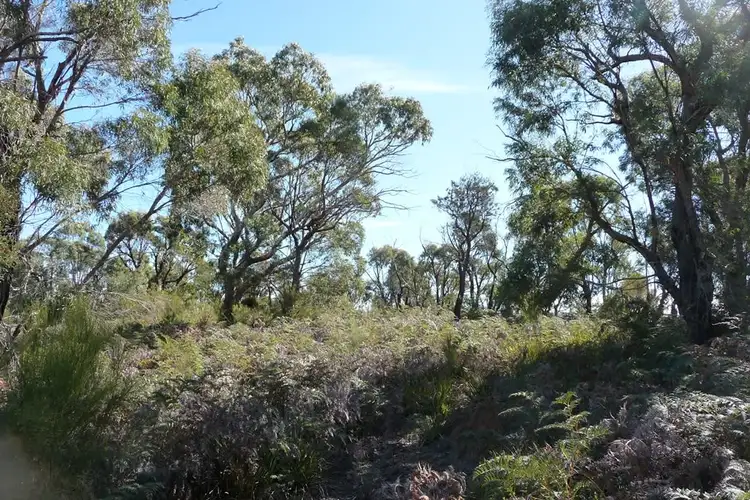 Fifth view of Homely rural property listing, 94 Gees Marsh Road, Bellingham TAS 7254