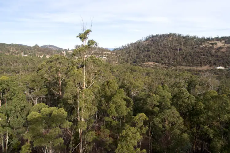 Seventh view of Homely land listing, Lot 2 Williams Lane, Dysart TAS 7030