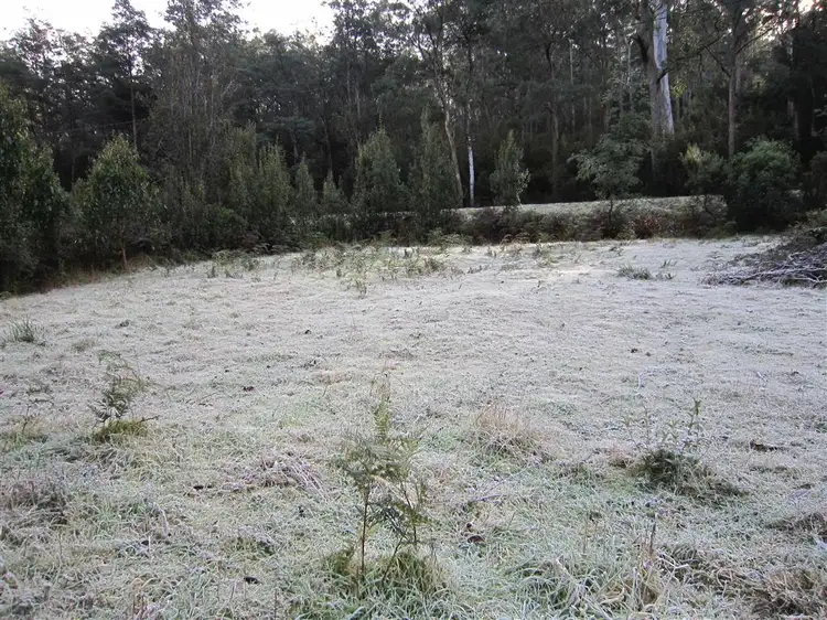 Lot 13 Wilmot Road, Kindred TAS 7310
