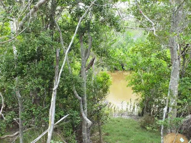 Second view of Homely land listing, 134 Pacific Haven Circuit, Pacific Haven QLD 4659