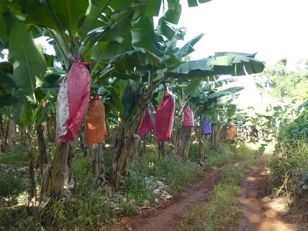 Main view of Homely rural property listing, Address available on request