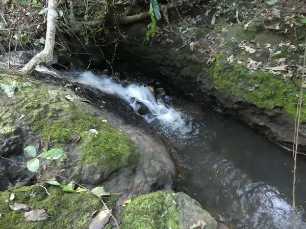 Third view of Homely rural property listing, Address available on request