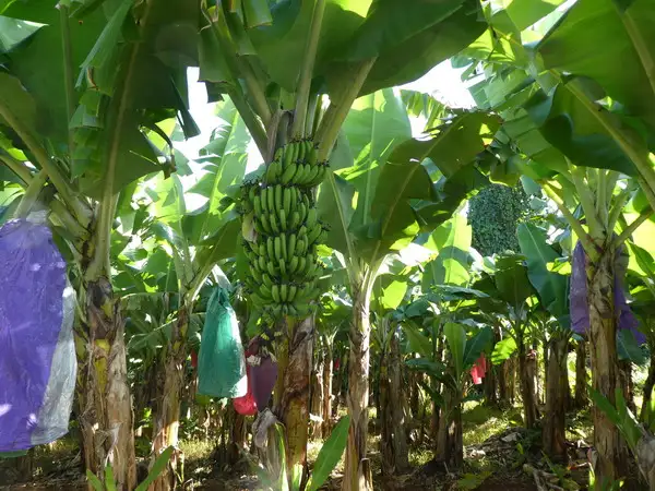 Fourth view of Homely rural property listing, Address available on request