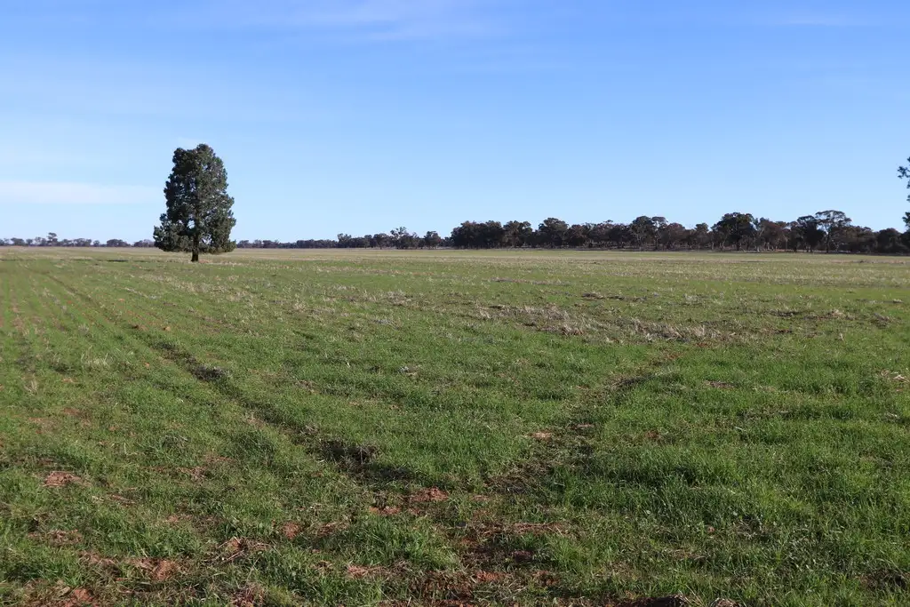 Main view of Homely rural property listing, Address available on request