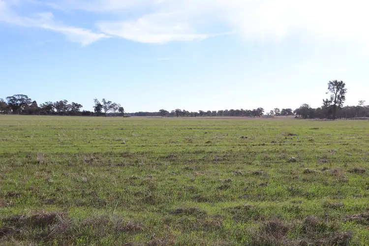 Second view of Homely rural property listing, Address available on request