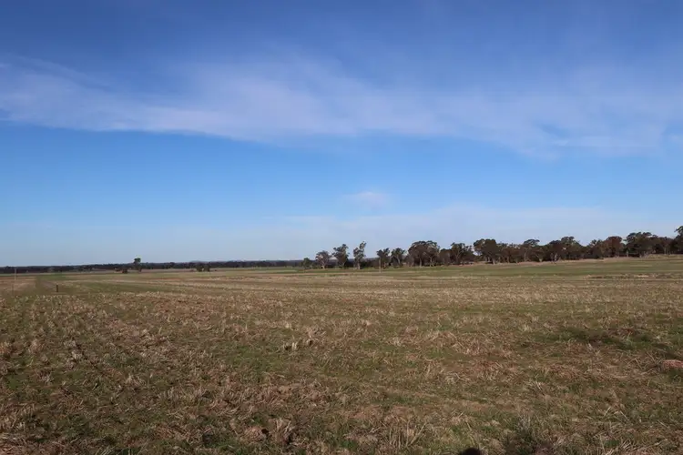 Fifth view of Homely rural property listing, Address available on request