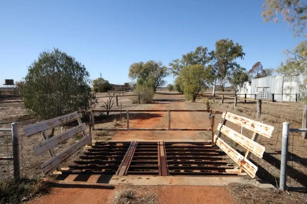 Main view of Homely rural property listing, 11376 Newell Highway, Narrabri NSW 2390