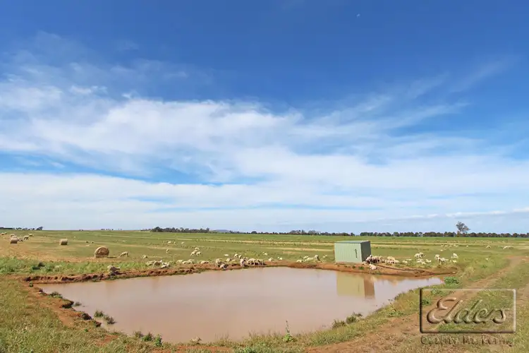 Fourth view of Homely rural property listing, 0 Pyrenees Highway, Carisbrook VIC 3464