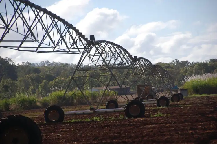 Sixth view of Homely rural property listing, 3595 Kennedy Highway, Mareeba QLD 4880