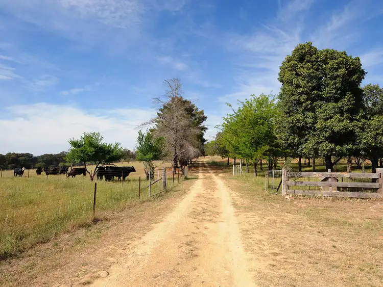 Sixth view of Homely rural property listing, 2787 HENRY LAWSON DVE, Gulgong NSW 2852