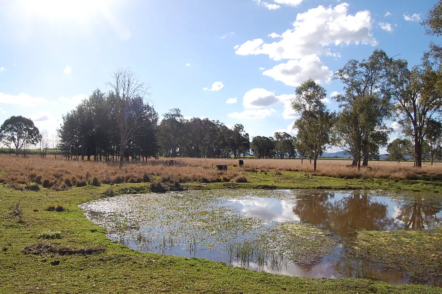 Main view of Homely rural property listing, Lot1//DP963774 Tatham-Greenridge Road, Greenridge NSW 2471