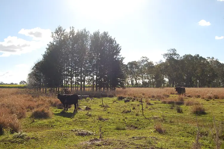 Fourth view of Homely rural property listing, Lot1//DP963774 Tatham-Greenridge Road, Greenridge NSW 2471