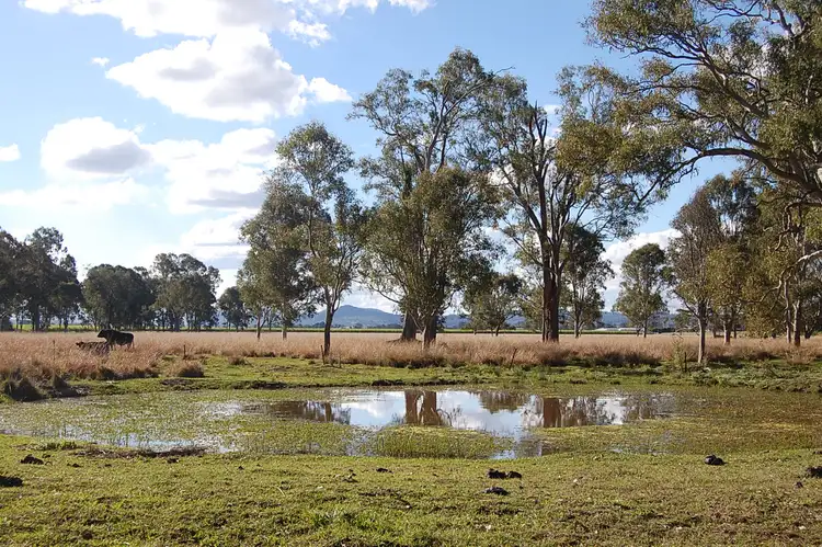 Fifth view of Homely rural property listing, Lot1//DP963774 Tatham-Greenridge Road, Greenridge NSW 2471