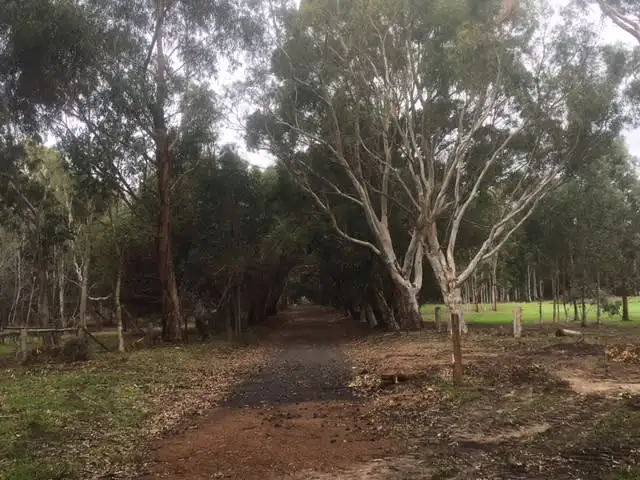 Prop Lot 1 on Exist Lot 206 Quedjinup Drive, Quedjinup WA 6281