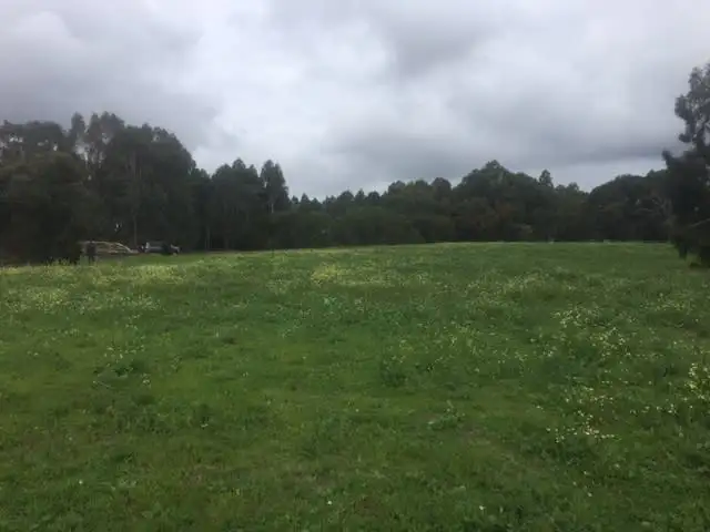 Fourth view of Homely land listing, Prop Lot 3 on Exist Lot 206 Quedjinup Drive, Quedjinup WA 6281