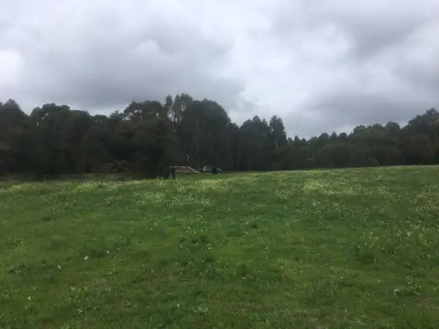 Fifth view of Homely land listing, Prop Lot 3 on Exist Lot 206 Quedjinup Drive, Quedjinup WA 6281