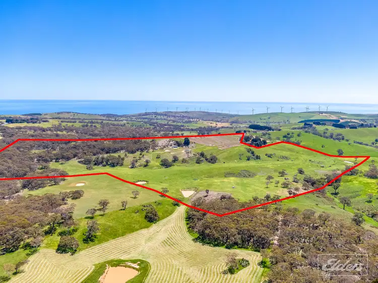 Main view of Homely rural property listing, Lot 20 Main South Road & Norman Lane, Delamere SA 5204