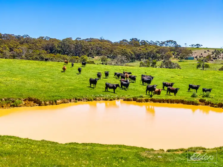 Third view of Homely rural property listing, Lot 20 Main South Road & Norman Lane, Delamere SA 5204