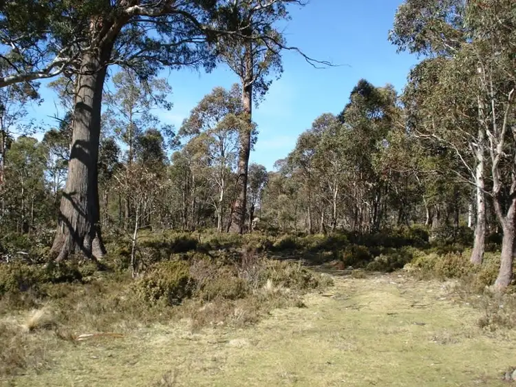 Third view of Homely land listing, Lot 1 Arthurs Lake Road, Wilburville, Wilburville TAS 7030