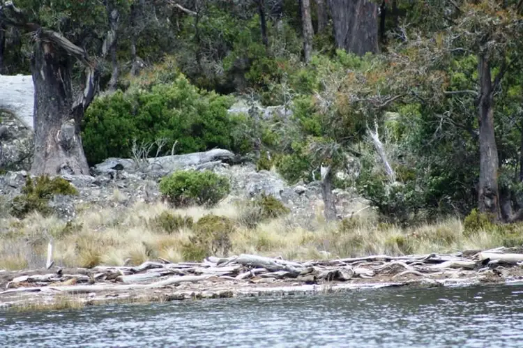 Lot 3 Arthurs Lake Road, Wilburville, Wilburville TAS 7030