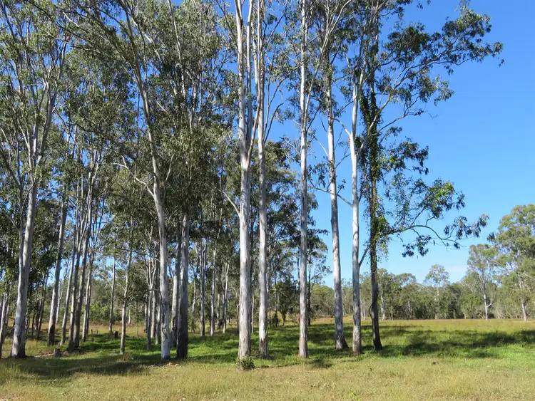 Seventh view of Homely rural property listing, 44014 Bruce Highway, Miriam Vale QLD 4677