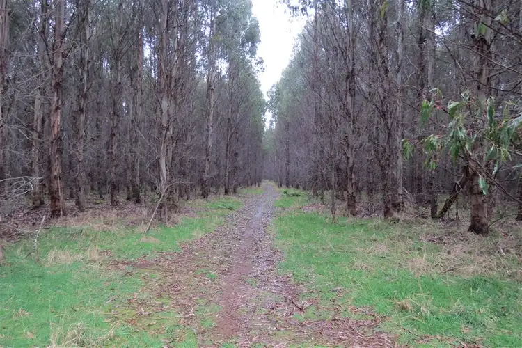 Fifth view of Homely rural property listing, 2125 Castra Road, Upper Castra TAS 7315