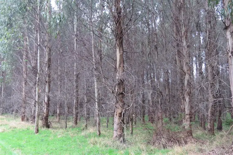 Sixth view of Homely rural property listing, 2125 Castra Road, Upper Castra TAS 7315