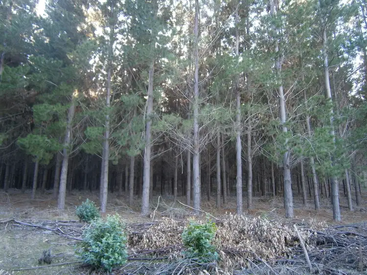 Main view of Homely rural property listing, Lot 2750 Maranup Ford Road, Greenbushes WA 6254
