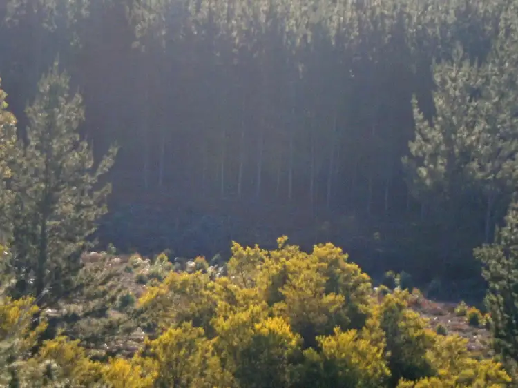 Fourth view of Homely rural property listing, Lot 2750 Maranup Ford Road, Greenbushes WA 6254