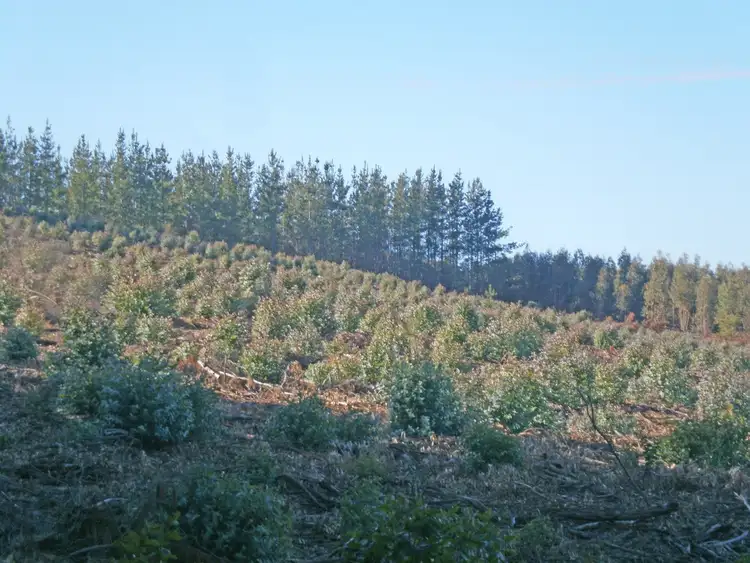 Fifth view of Homely rural property listing, Lot 2750 Maranup Ford Road, Greenbushes WA 6254