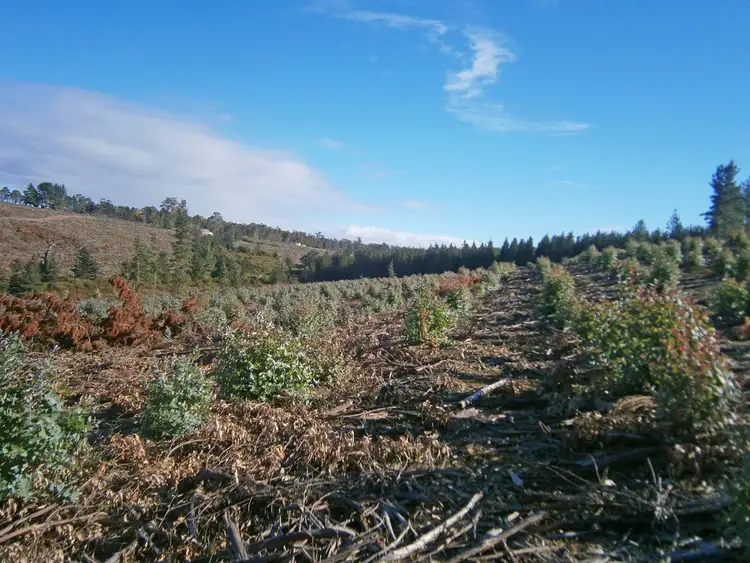 Seventh view of Homely rural property listing, Lot 2750 Maranup Ford Road, Greenbushes WA 6254