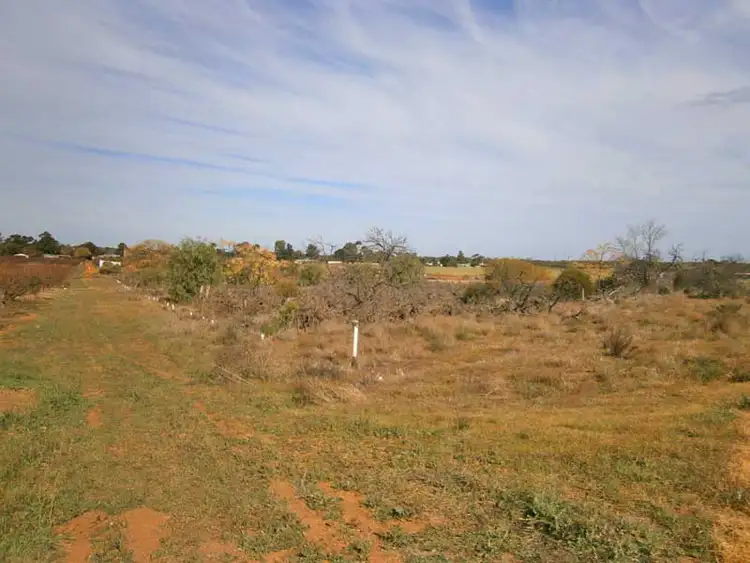 Fifth view of Homely house listing, 12650 Sturt Highway, Waikerie SA 5330